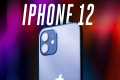 iPhone 12 review: new standard