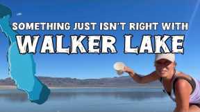 What’s Wrong with this Nevada Lake !? (The Story of Walker Lake)