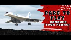 Curious About High-Flying Thrills? Live Airplane Stream Inside! - 029