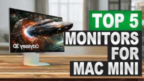 Top 5 BEST Monitors For Mac Mini in (2025) Watch Before You Buy!