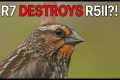 Canon R7 Destroys R5 II For Wildlife