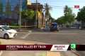 Pedestrian hit and killed by light