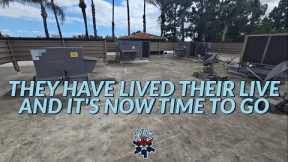 THEY HAVE LIVED THEIR LIVE AND IT'S NOW TIME TO GO