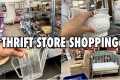 GOODWILL THRIFT WITH ME & SUMMER