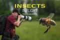 Photographing Flying Insects Is