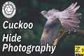 Cuckoo Hide - Leeds Wildlife