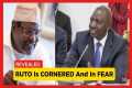 Lawyer Miguna Miguna BADLY DESTROYS