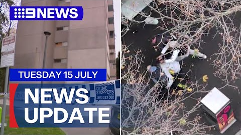 Man dies whilst in custody; Stabbing Chaos outside shopping centre | 9 News Australia
