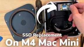 UPGRADING the SSD on an M4 Mac mini!?