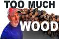 MORE FIREWOOD needs to be made!