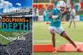 Dolphins in Depth: Dolphins add three 