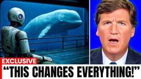 Scientists Just Decoded Language of the Whales Using AI... And It's Not What You Think