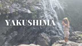Spontaneous Yakushima Trip 2 | Waterfalls, Wildlife & Family Chaos