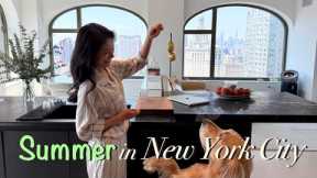 Living in NYC with my Golden Retriever | Healthy Daily Routine Summer Edition