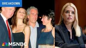 ‘Stinks of a coverup’: Trump admin reels, now begging Joe Rogan for help easing uproar over Epstein