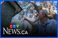 B.C. man captures mysterious