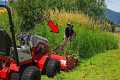 The Tall Grass Was Hiding Something I 
