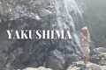 Spontaneous Yakushima Trip 2 |