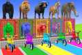 Long Slide Game With Cow Elephant
