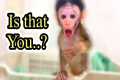 “Cici’s Priceless Reaction: Daddy’s